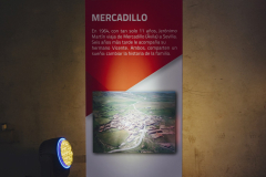 50-años-l-OLÍMPICO-©-Óscar-Romero-Niccolò-Guasti-·-200